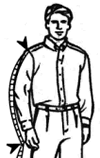 Shirt Sleeve
