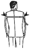 Jacket Back