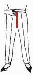 Trousers "U" Crotch